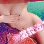 ヒメ日記 2025/12/16 00:13 投稿 アラン バニーコレクション秋田店