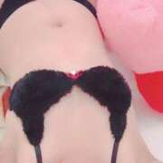 ヒメ日記 2025/12/17 07:43 投稿 アラン バニーコレクション秋田店