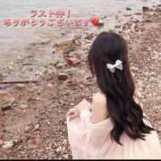 ヒメ日記 2025/06/12 03:53 投稿 せらん 西船人妻花壇