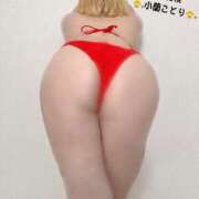 ヒメ日記 2025/06/11 16:05 投稿 小蘭 BBW札幌店