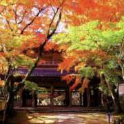 ヒメ日記 2025/09/24 12:03 投稿 七海いちか ワイフコレクション