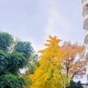 夕美みかん ※無題 美魔女エステ