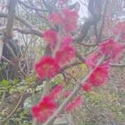 夕美みかん ※無題 美魔女エステ