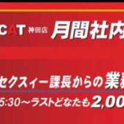 ヒメ日記 2025/12/22 17:11 投稿 大野みお セクシーキャット 神田店
