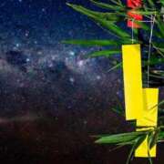 ヒメ日記 2025/07/07 18:49 投稿 さや あふたーすくーる本店