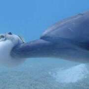 ヒメ日記 2025/07/30 05:41 投稿 さや あふたーすくーる本店