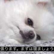 ヒメ日記 2025/09/04 18:30 投稿 さや あふたーすくーる本店