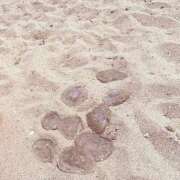 ヒメ日記 2025/09/01 20:21 投稿 藤崎　あゆな エテルナ京都