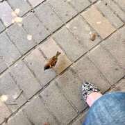 ヒメ日記 2025/07/07 08:02 投稿 るりは 艶熟妻 京都店