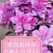 ヒメ日記 2025/06/25 07:00 投稿 ちひろ 千葉人妻セレブリティ（ユメオト）