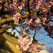 ヒメ日記 2026/02/23 11:18 投稿 ちひろ 千葉人妻セレブリティ（ユメオト）