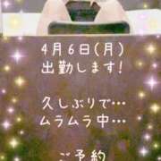 ヒメ日記 2026/04/05 19:01 投稿 ひとみ BAD COMPANY（バッドカンパニー）