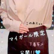 ヒメ日記 2026/05/11 12:05 投稿 ひとみ BAD COMPANY（バッドカンパニー）