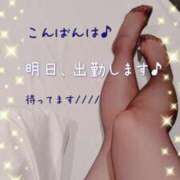 ひとみ 黒パンスト BAD COMPANY（バッドカンパニー）