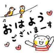 ヒメ日記 2025/06/15 06:19 投稿 よぞら サティアンまーと