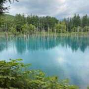 ヒメ日記 2025/07/15 09:59 投稿 よぞら サティアンまーと