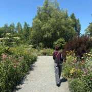 ヒメ日記 2025/12/10 23:19 投稿 よぞら サティアンまーと