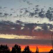 ヒメ日記 2026/04/17 10:30 投稿 よぞら サティアンまーと