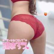 ヒメ日記 2025/11/21 22:57 投稿 今野 あなたに逢いたくて