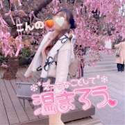 ヒメ日記 2026/01/25 15:17 投稿 今野 あなたに逢いたくて