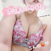 ヒメ日記 2026/02/25 16:57 投稿 今野 あなたに逢いたくて