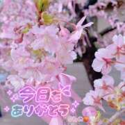 ヒメ日記 2026/03/10 00:27 投稿 今野 あなたに逢いたくて