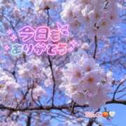 ヒメ日記 2026/04/01 00:17 投稿 今野 あなたに逢いたくて