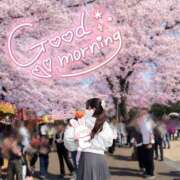 ヒメ日記 2026/04/02 09:07 投稿 今野 あなたに逢いたくて