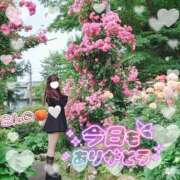 ヒメ日記 2026/04/03 03:47 投稿 今野 あなたに逢いたくて