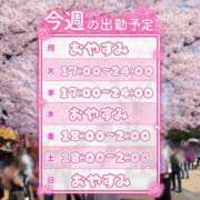 ヒメ日記 2026/04/04 17:59 投稿 今野 あなたに逢いたくて