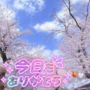 ヒメ日記 2026/04/08 01:27 投稿 今野 あなたに逢いたくて