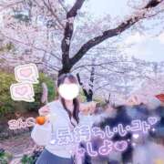 ヒメ日記 2026/04/08 17:17 投稿 今野 あなたに逢いたくて