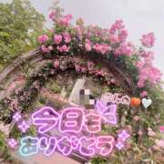 ヒメ日記 2026/04/09 00:17 投稿 今野 あなたに逢いたくて