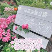 ヒメ日記 2026/04/23 22:37 投稿 今野 あなたに逢いたくて