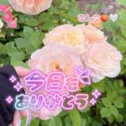 ヒメ日記 2026/05/03 04:27 投稿 今野 あなたに逢いたくて