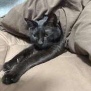 ヒメ日記 2025/06/30 21:44 投稿 しきさん いけない奥さん 十三店