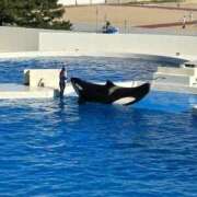 ヒメ日記 2025/06/30 23:59 投稿 しきさん いけない奥さん 十三店