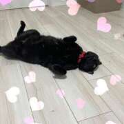 ヒメ日記 2025/07/18 22:38 投稿 しきさん いけない奥さん 十三店