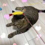 ヒメ日記 2025/08/01 16:20 投稿 しきさん いけない奥さん 十三店