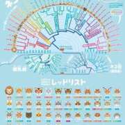 ヒメ日記 2025/08/08 22:08 投稿 しきさん いけない奥さん 十三店