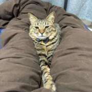 ヒメ日記 2025/08/18 22:28 投稿 しきさん いけない奥さん 十三店