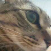 ヒメ日記 2025/08/31 22:28 投稿 しきさん いけない奥さん 十三店