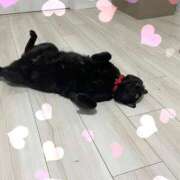 ヒメ日記 2025/10/05 23:08 投稿 しきさん いけない奥さん 十三店