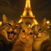 ヒメ日記 2025/10/08 23:02 投稿 しきさん いけない奥さん 十三店