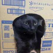 ヒメ日記 2025/10/12 23:08 投稿 しきさん いけない奥さん 十三店