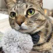 ヒメ日記 2025/10/20 23:36 投稿 しきさん いけない奥さん 十三店