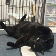 ヒメ日記 2025/10/31 23:14 投稿 しきさん いけない奥さん 十三店