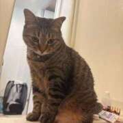 ヒメ日記 2025/11/11 22:38 投稿 しきさん いけない奥さん 十三店