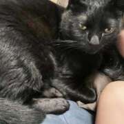 ヒメ日記 2025/11/13 23:32 投稿 しきさん いけない奥さん 十三店