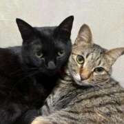 ヒメ日記 2025/11/16 22:59 投稿 しきさん いけない奥さん 十三店